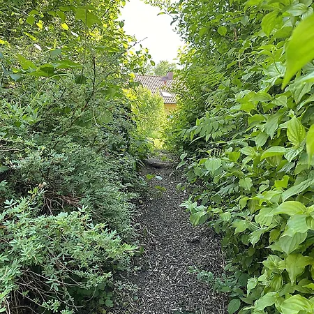 4 Prázdninový dům Nieheim