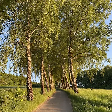 Haus 4 Wandern Und Radeln Im Wunderschoenen Teutoburger Wald -