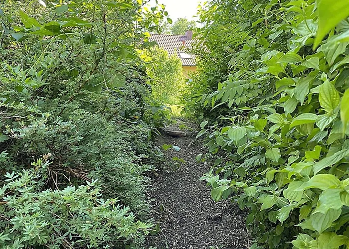 4 بيت للعطل Nieheim