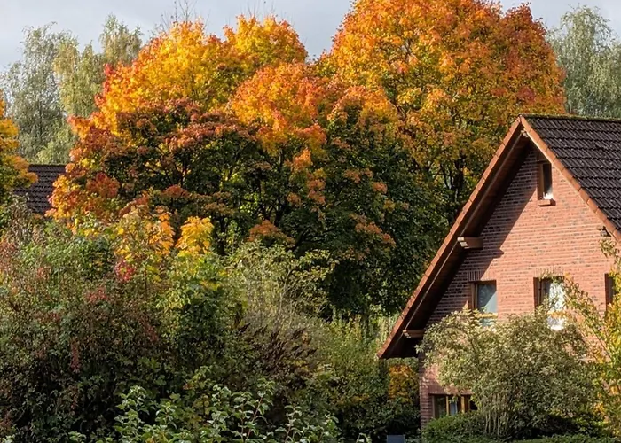 Vakantiehuis 4